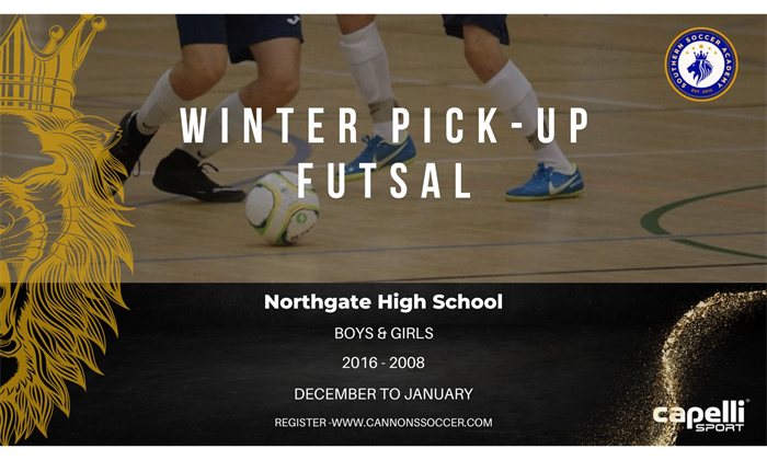 Winter Pick-Up Futsal